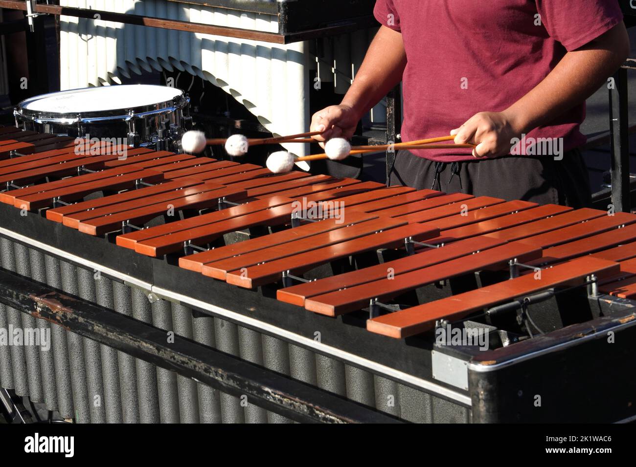 Hands of a musician playing a xylophone Stock Photo