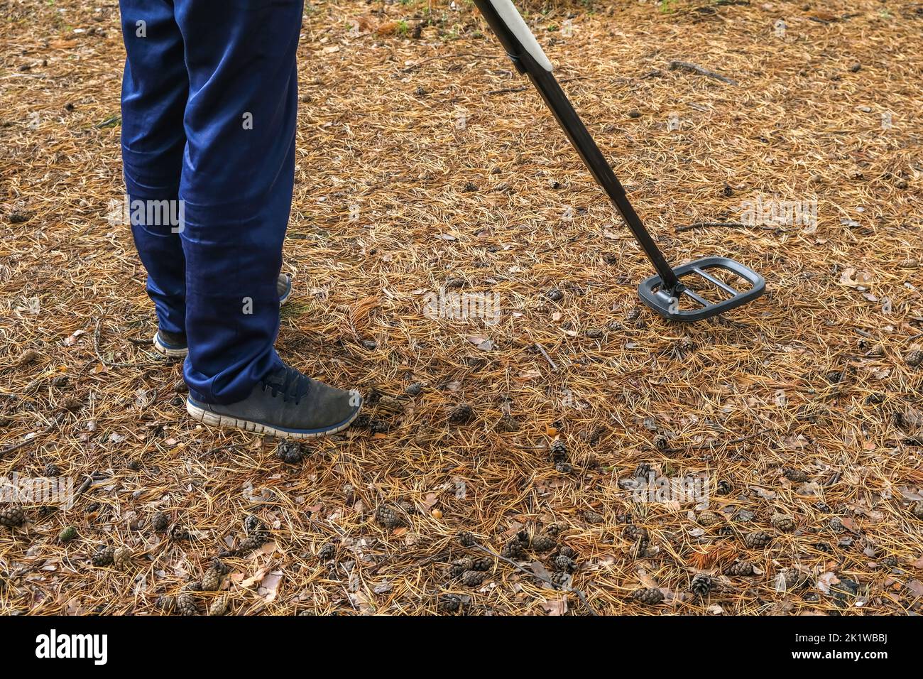 Metal detector in the forest. A man is looking for a treasure in the forest. A man in camouflage with a metal detector. Stock Photo