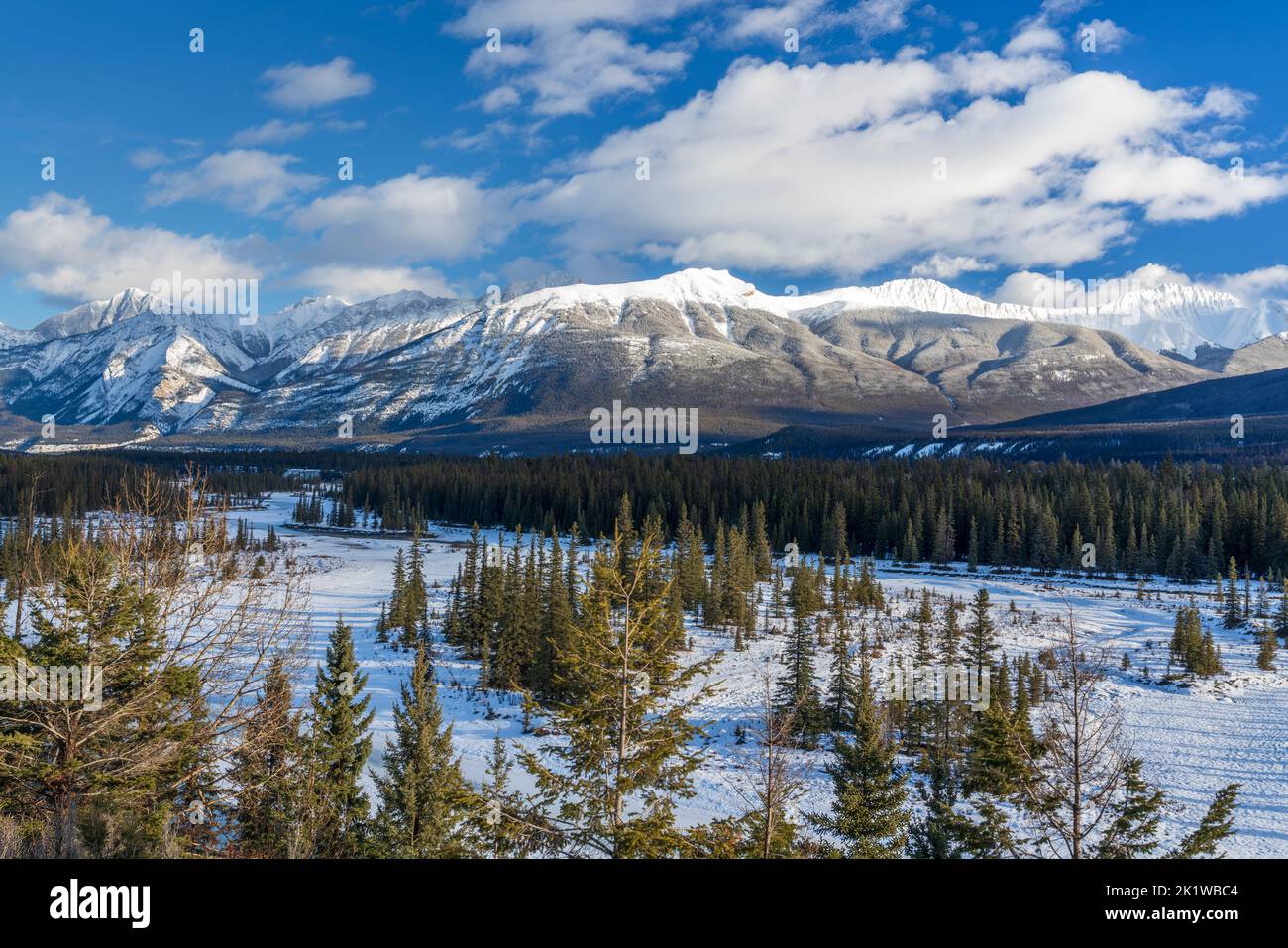 Along the Maligne Lake road in winter, Jasper National Park, Alberta, Canada. Stock Photo