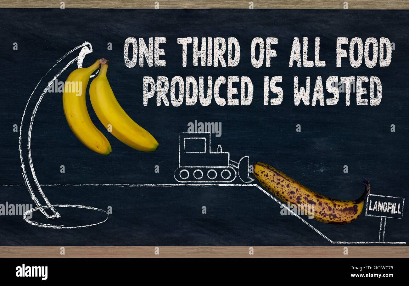 One third of all food produced is wasted, illustration with bananas on chalkboard, reduce food waste and zero waste Stock Photo