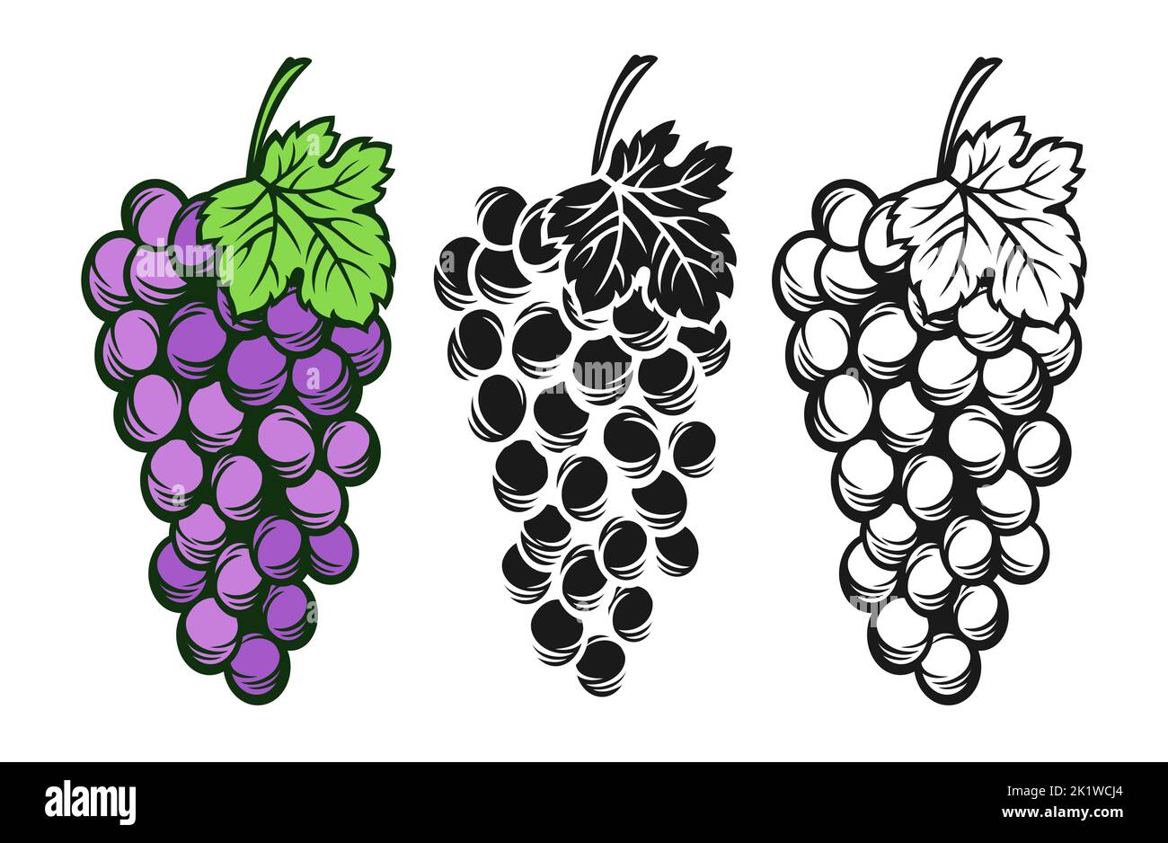 Grape cluster and leaf monochrome vintage set. Sketch ink hand drawn outline wine grapes