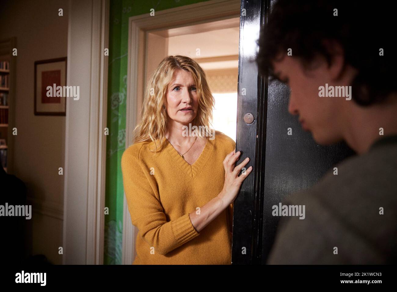 RELEASE DATE: October 9, 2022. TITLE: The Son. STUDIO: Sony Classics Pictures. DIRECTOR: Florian Zeller. PLOT: Peter as his busy life with new partner Emma and their baby is thrown into disarray when his ex-wife Kate turns up with their teenage son, Nicholas. STARRING: LAURA DERN as Kate, ZEN MCGRATH as Nicholas (Credit Image: © Sony Classics Pictures/Entertainment Pictures) Stock Photo