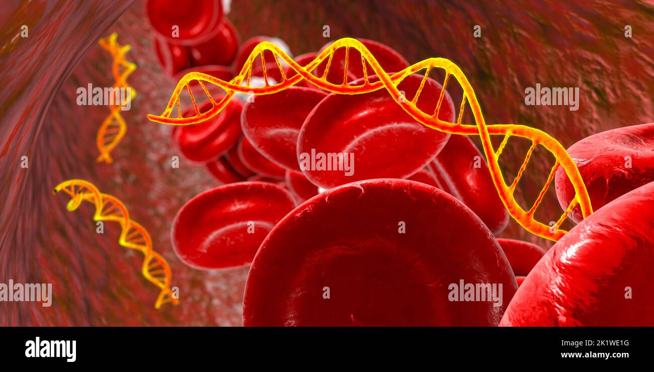 Cell free nucleic acids in human blood, illustration Stock Photo