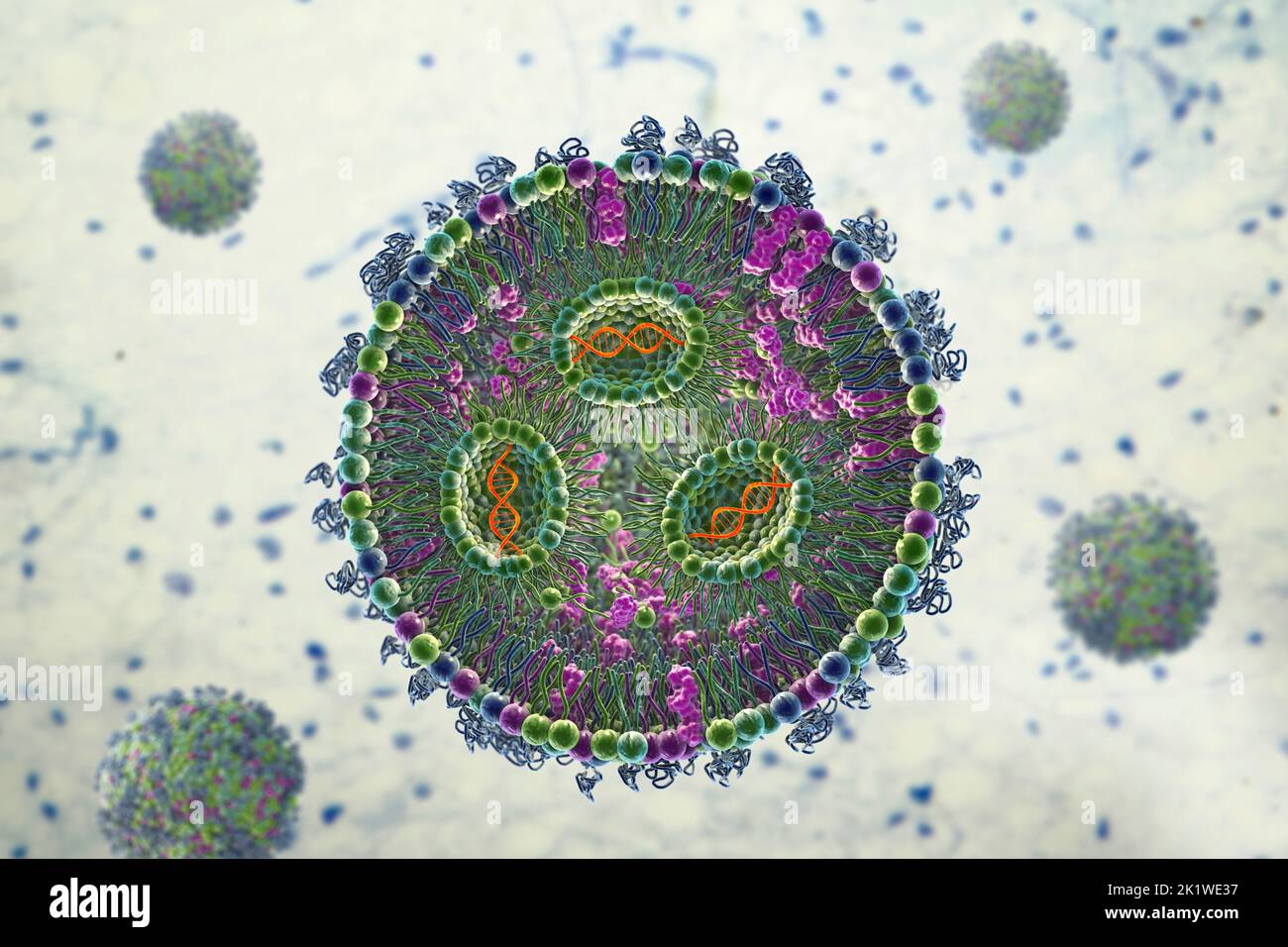 siRNA lipid nanoparticle antiviral, illustration Stock Photo
