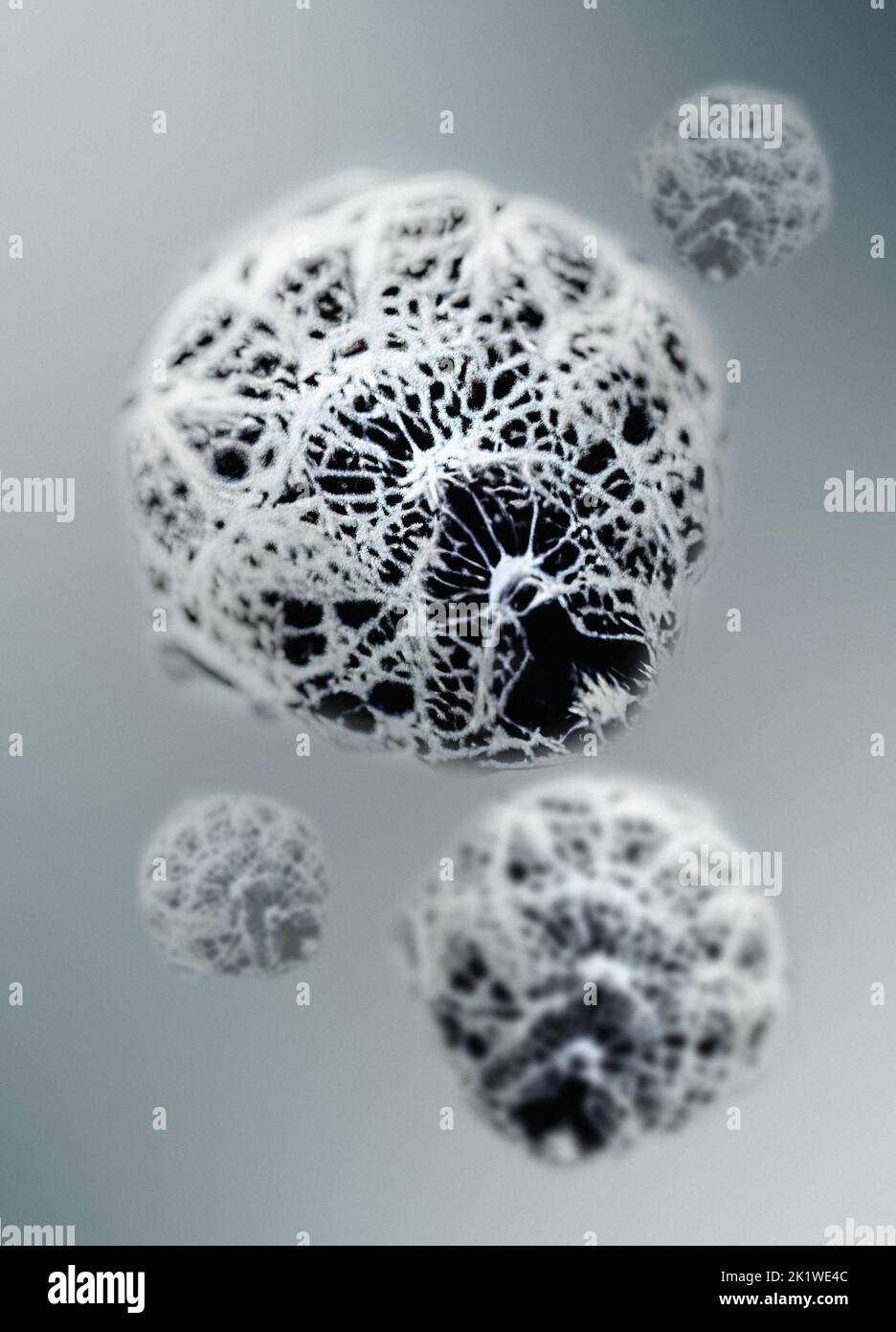 Alien microbe from space, conceptual illustration Stock Photo