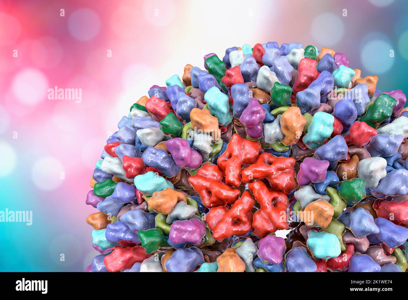 Reovirus, illustration Stock Photo