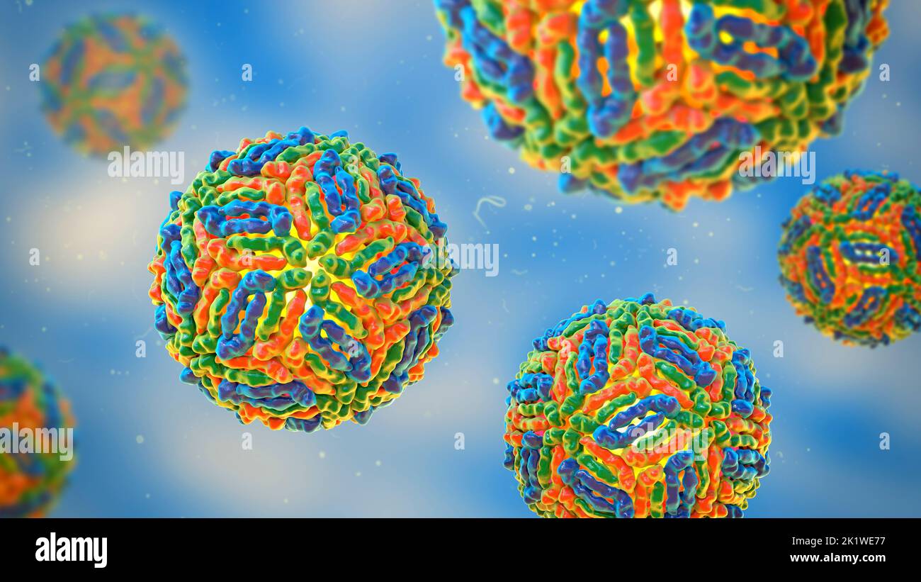 West Nile virus particles, illustration Stock Photo