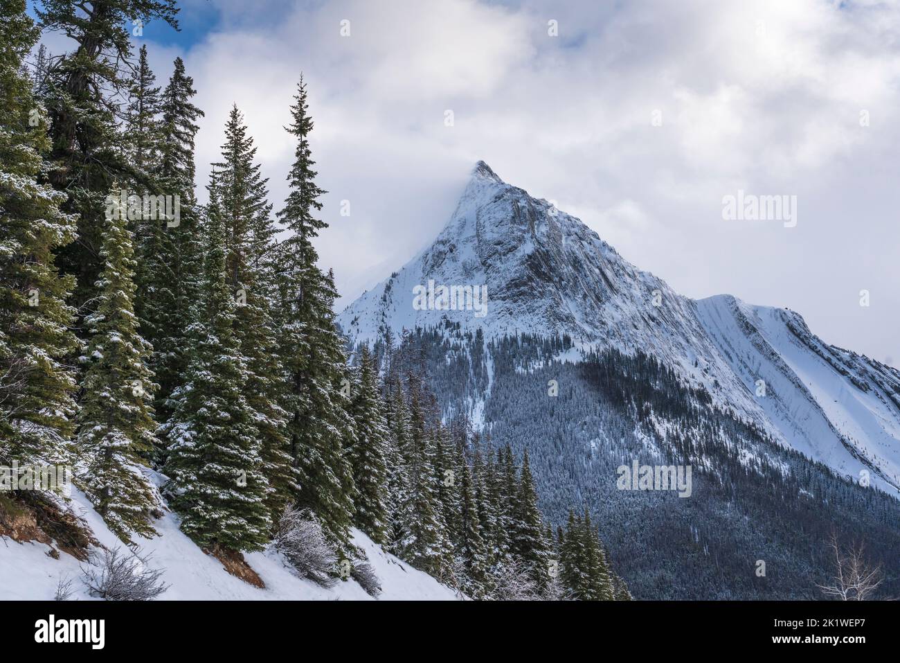 A mountain and forest scenic along the Maligne Lake road in winter, Jasper National Park, Alberta, Canada. Stock Photo