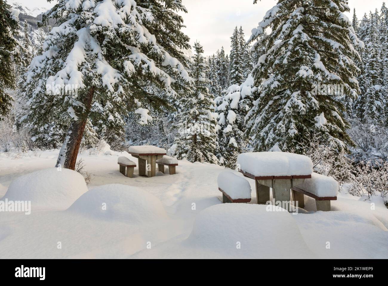 A picnic site along the Maligne Lake road in winter,Jasper National Park, Alberta, Canada. Stock Photo