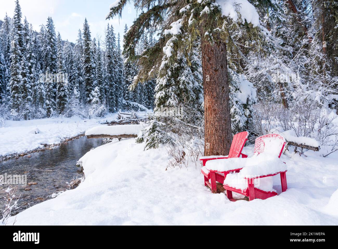 A picnic site along the Maligne Lake road in winter, Jasper National Park, Alberta, Canada. Stock Photo