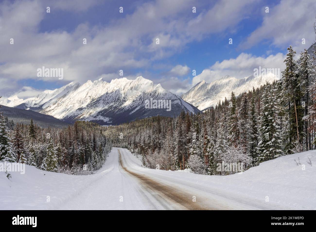A mountain and forest scenic along the Maligne Lake road in winter, Jasper National Park, Alberta, Canada. Stock Photo
