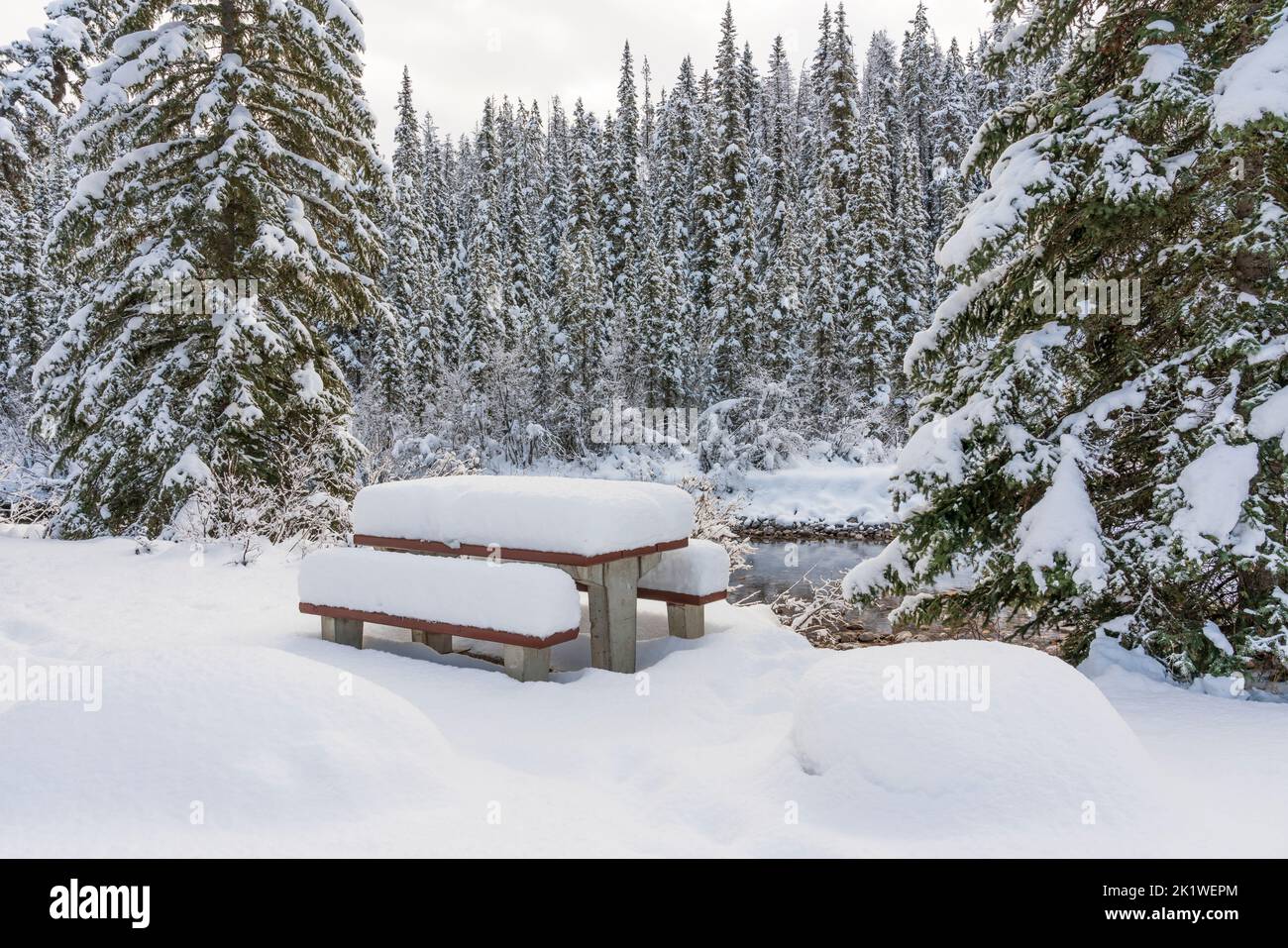 A picnic site along the Maligne Lake road in winter,Jasper National Park, Alberta, Canada. Stock Photo