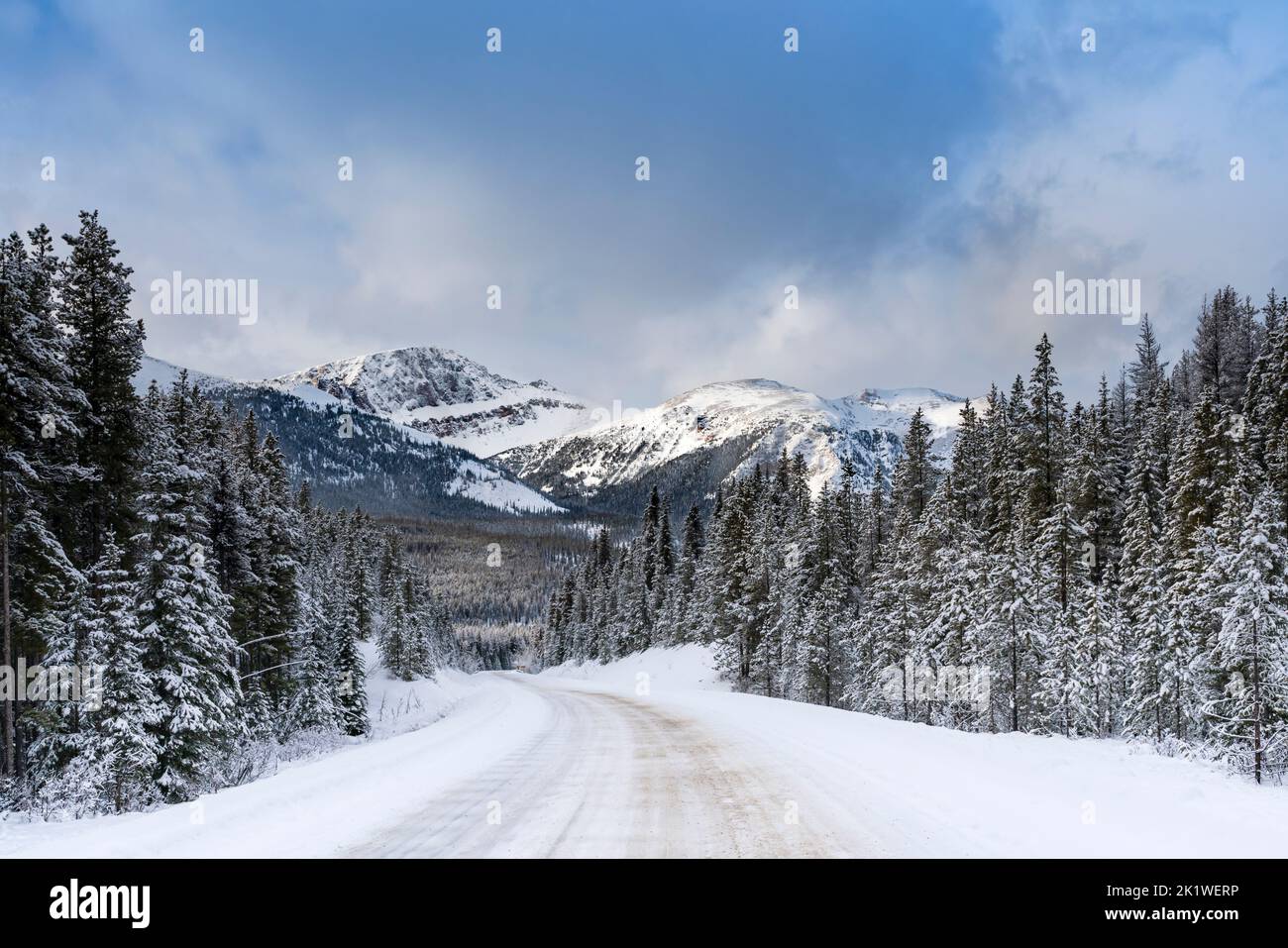 A mountain and forest scenic along the Maligne Lake road in winter, Jasper National Park, Alberta, Canada. Stock Photo