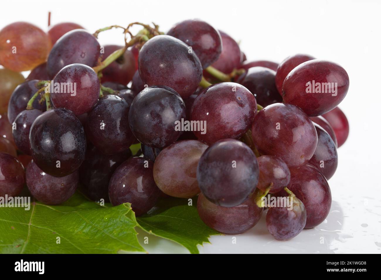 Black grapes Stock Photo