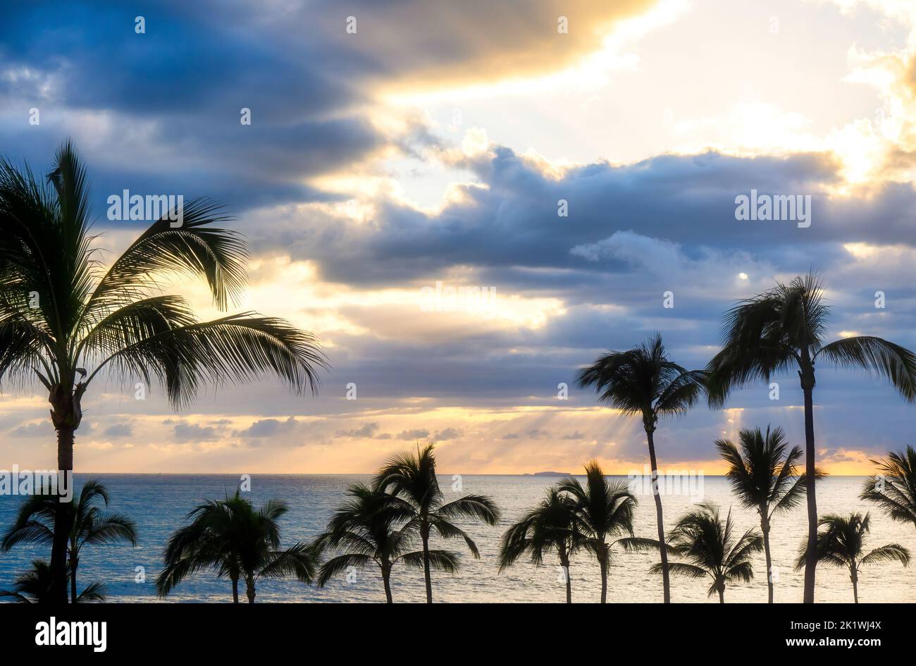 A Sunset on the beach with palm trees Stock Photo - Alamy