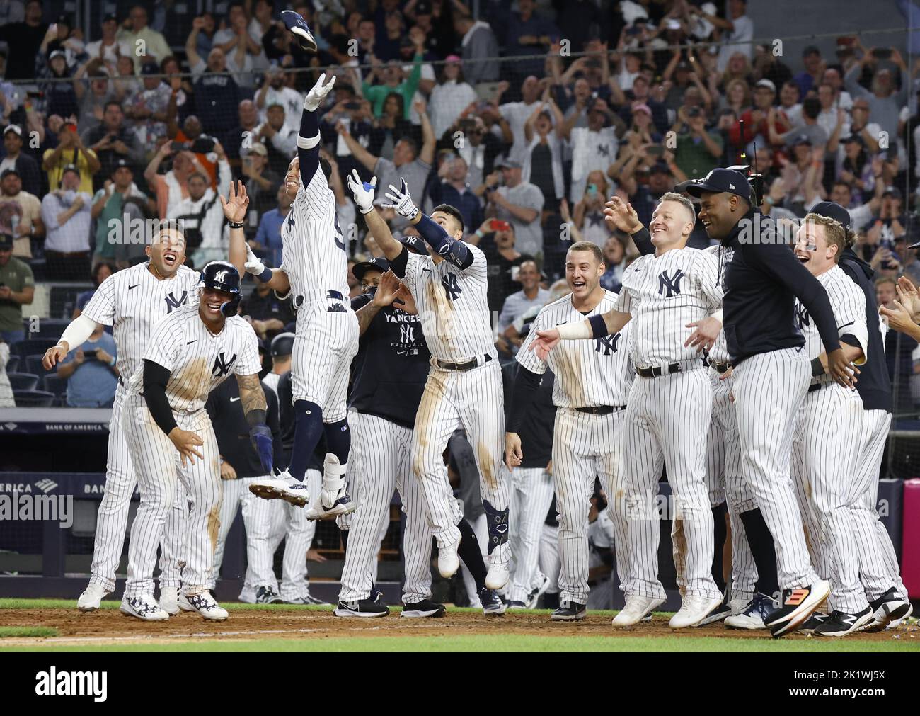 New York Yankees celebrate winning the 2009 World Series at Yankee