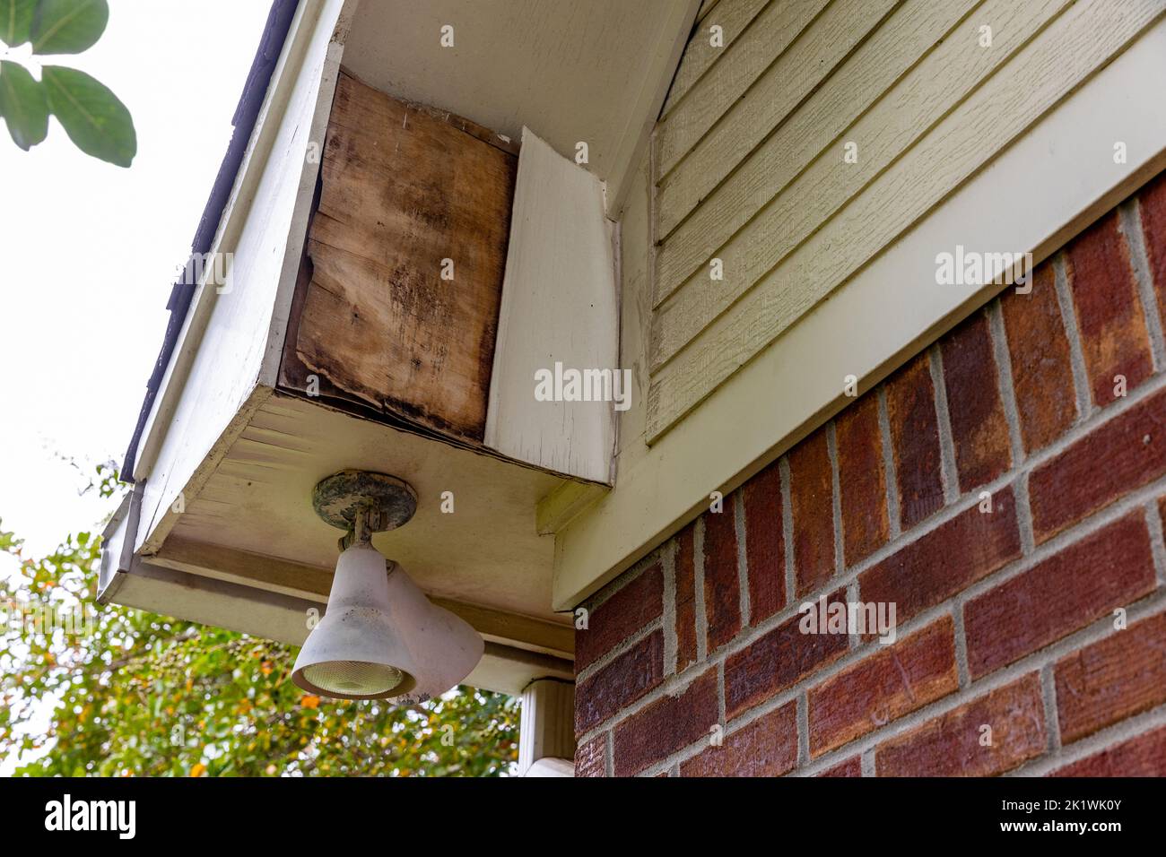 Rotten wood on Soffit and Fascia boards of house Stock Photo