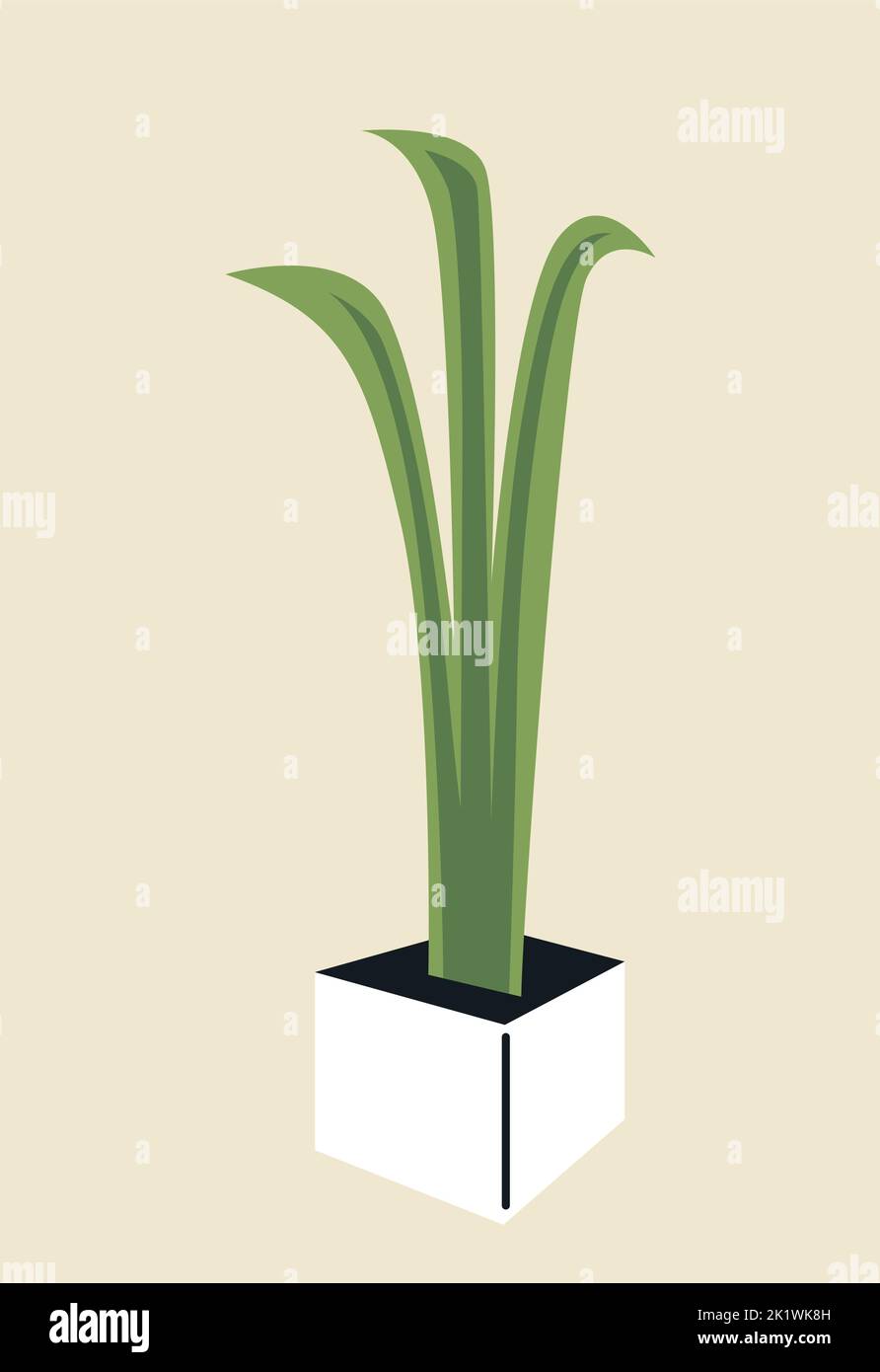 Tall office pot plant hi-res stock photography and images - Alamy