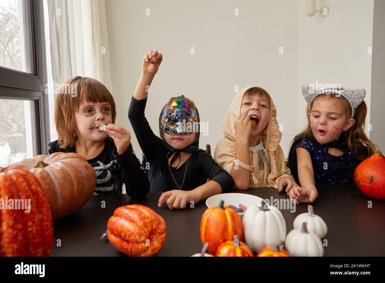 Long haired junior schoolgirls and preschooler siblings in Halloween costumes eat treats sitting at table decorated with pumpkins at home Stock Photo