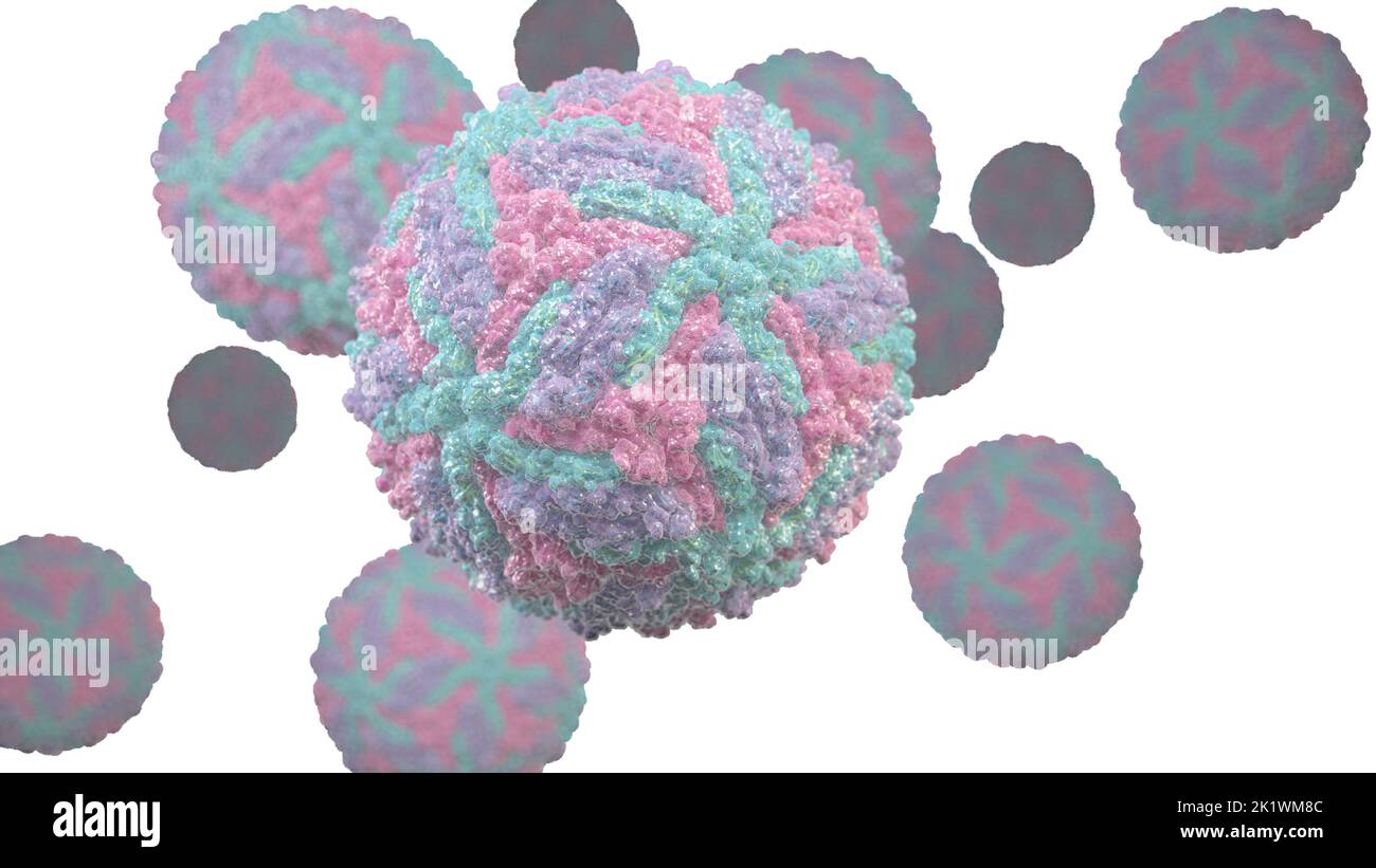 Zika virus, illustration Stock Photo - Alamy