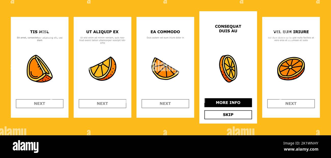 orange citrus fresh slice juice onboarding icons set vector Stock ...