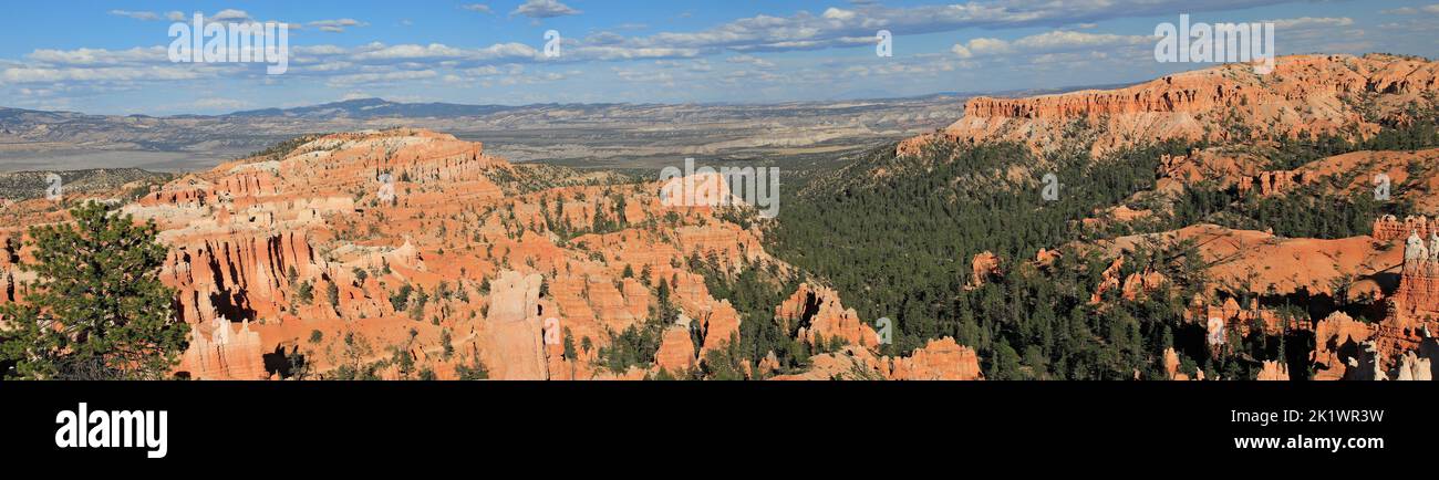 Panoramic aerial view of Bryce Canyon in Utah, USA Stock Photo