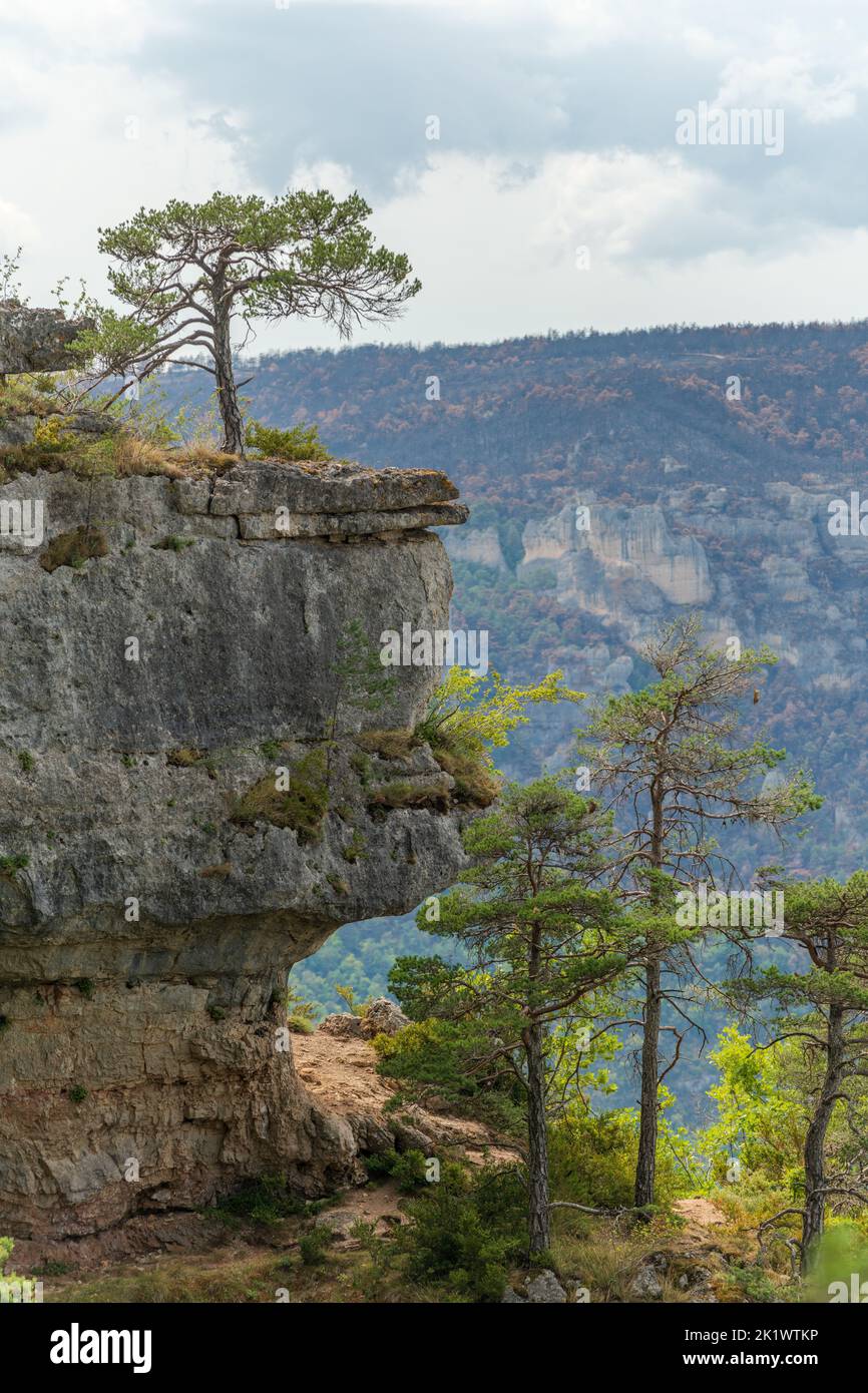 Hike on the Corniches of Causse Mejean above the Tarn Gorges. Canyon of the Tarn trail. Aveyron, France. Stock Photo