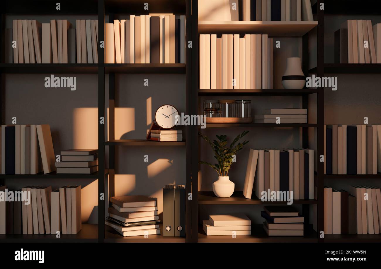 Modern bookshelves background with different kinds of books and home