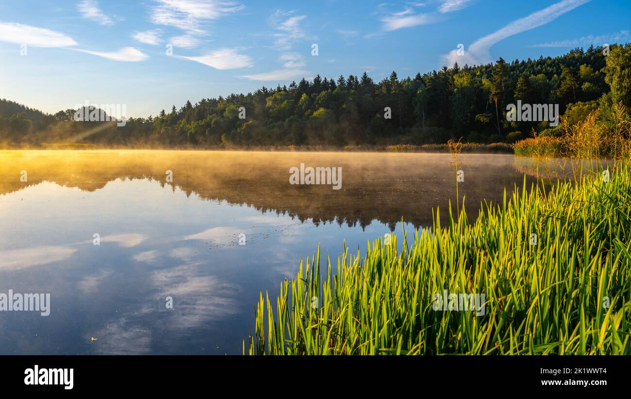 Idyllic sunny and hazy morning at the water. Chrastna pond, Czech: Chrastensky rybnik, Czech Republic Stock Photo