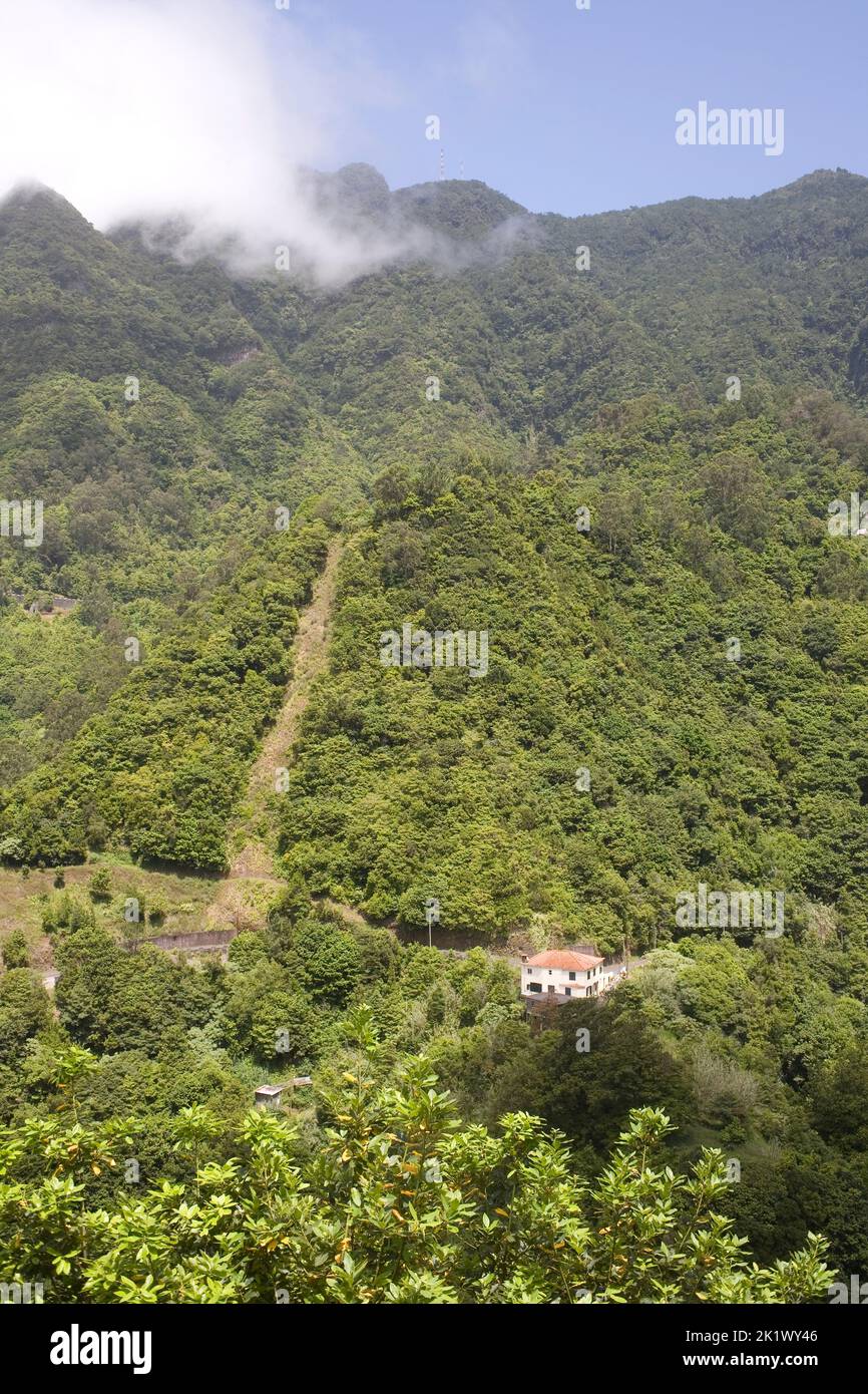 Dense vegetation on hillside just inland from Boaventura with house amidst the greenery Stock Photo