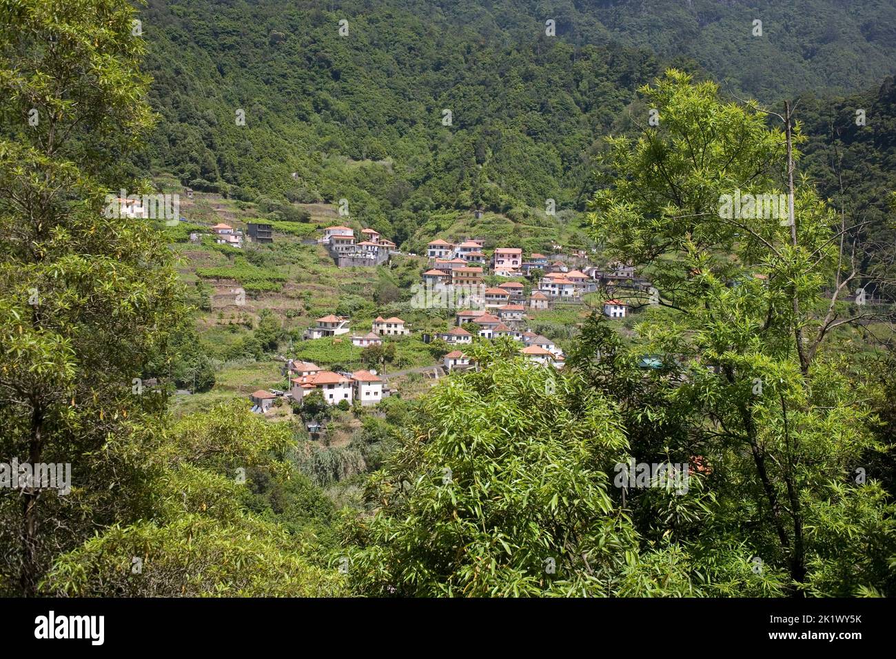 The village of Achadinha on green hillside near Boaventura in Northern Madeira Stock Photo