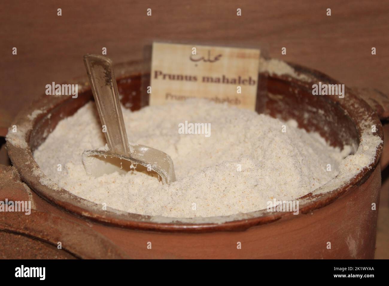 Powder of Prunus Mahaleb in a clay pot. Stock Photo
