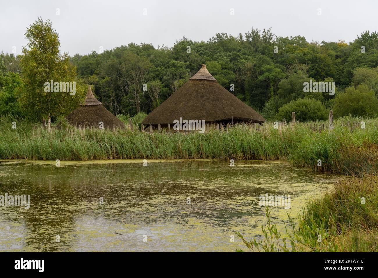 Wexford, Ireland - 18 August, 2022: view of a typical Crannog or artificial island in a lake in the Irish National Heritage Park Stock Photo