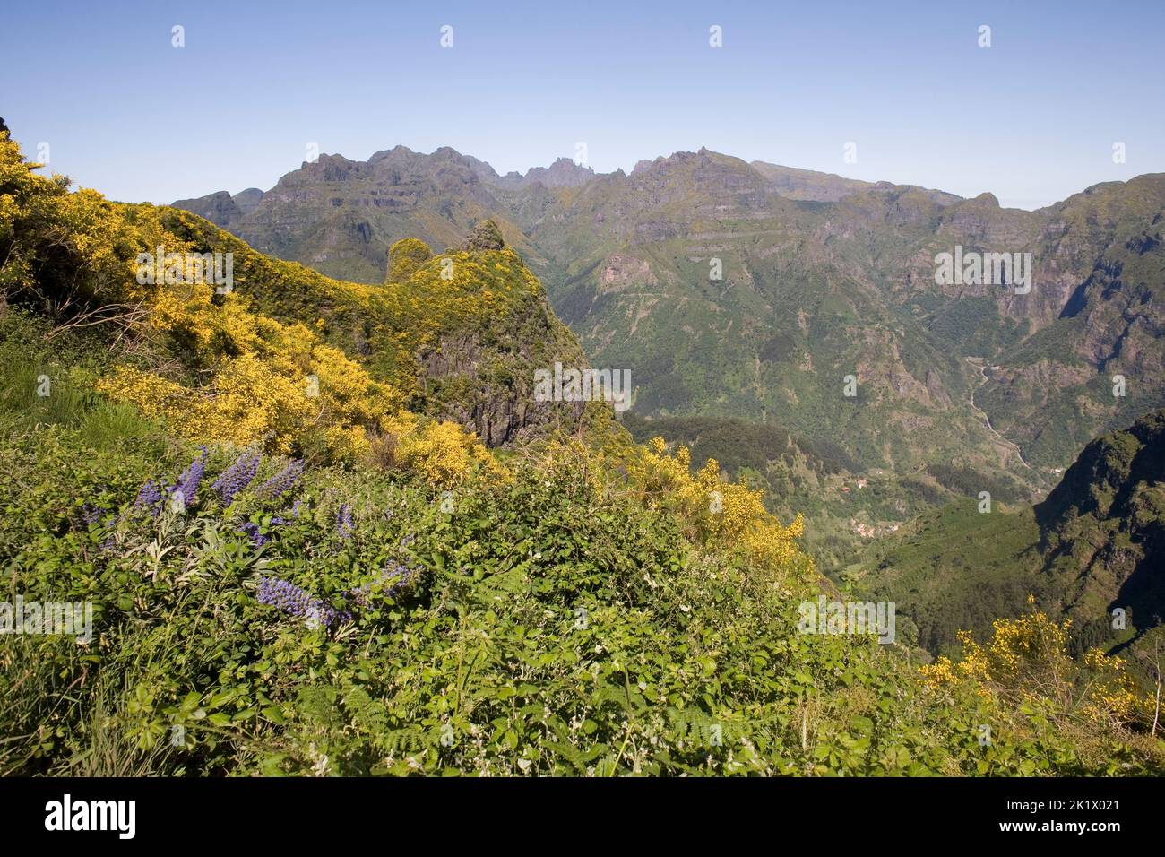 Lush vegetation beside the ER105 and mountains near Serra de Agua in central Madeira Stock Photo