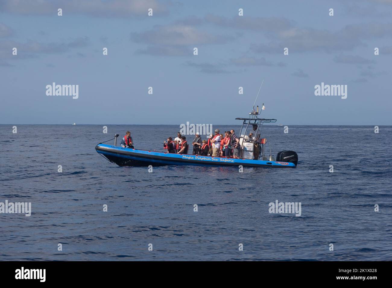 Magic Dolphin Sea Safaris speedboat on the Atlantic ocean Stock Photo