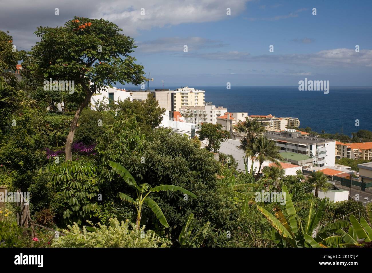 Greenery, apartments and hotel Raga in Sao Martinho district of Funchal