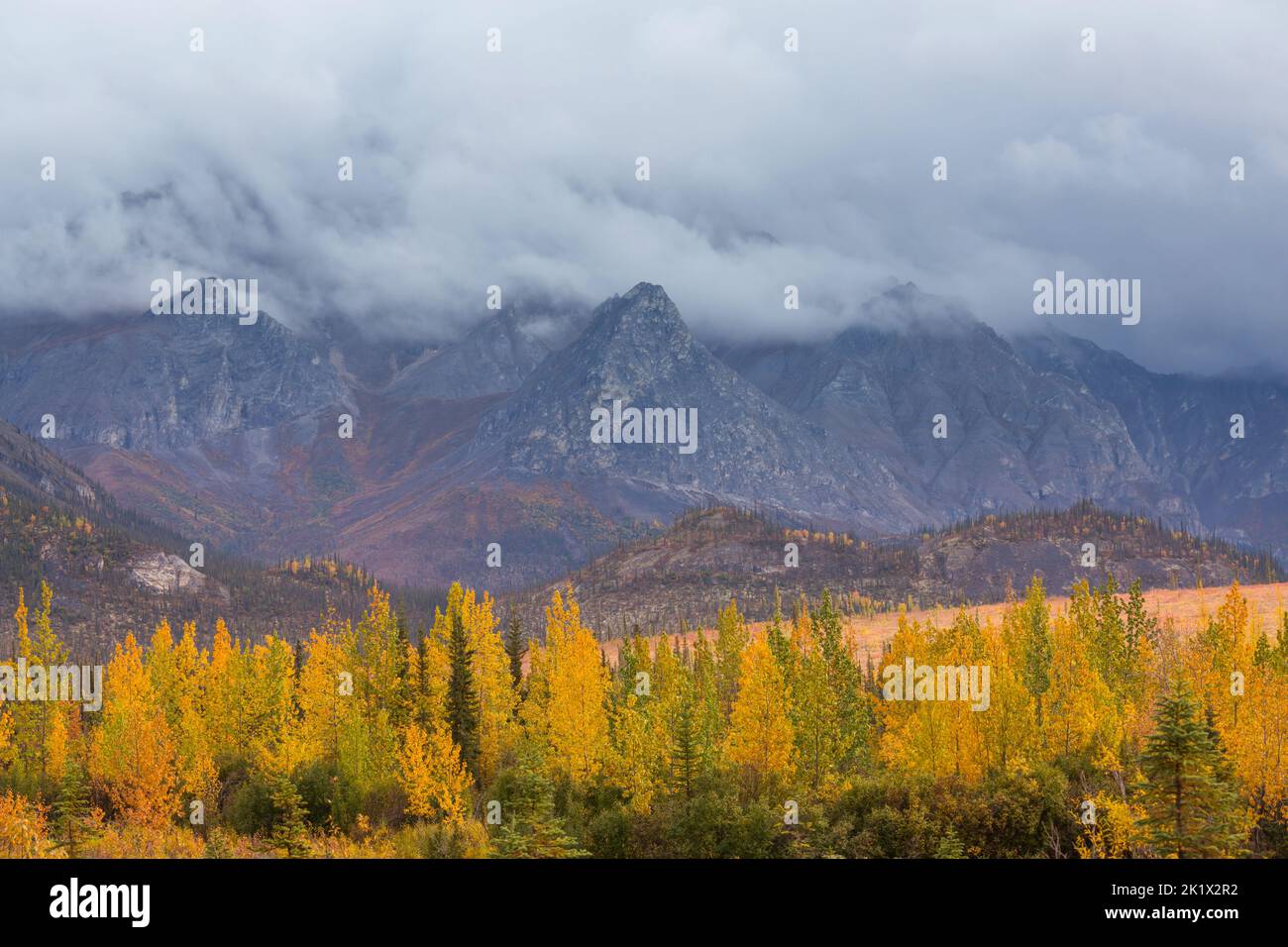 Beautiful autumn season in Canadian mountains. Fall background. Stock Photo