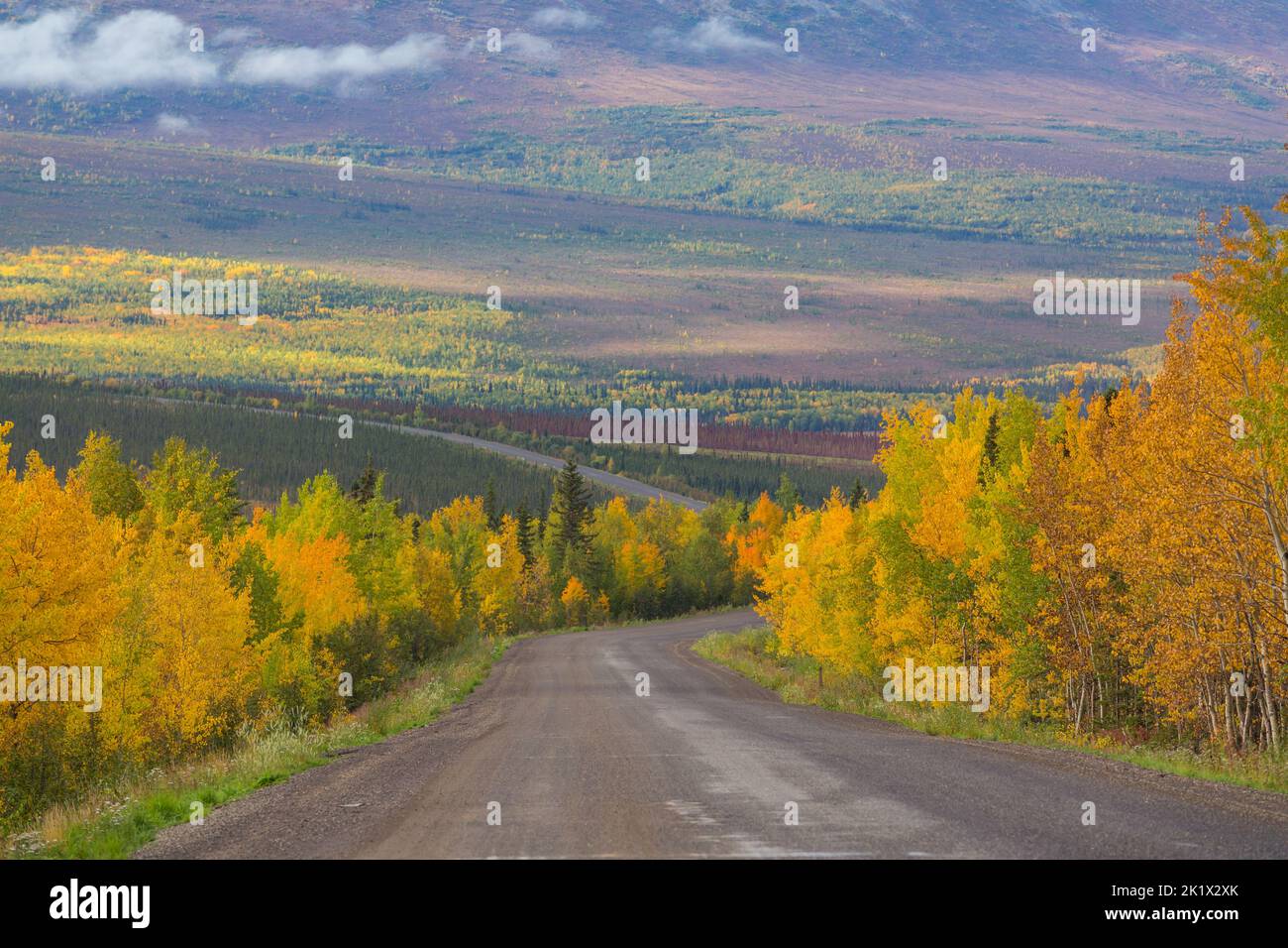 Colorful Autumn scene on countryside road in the forest Stock Photo
