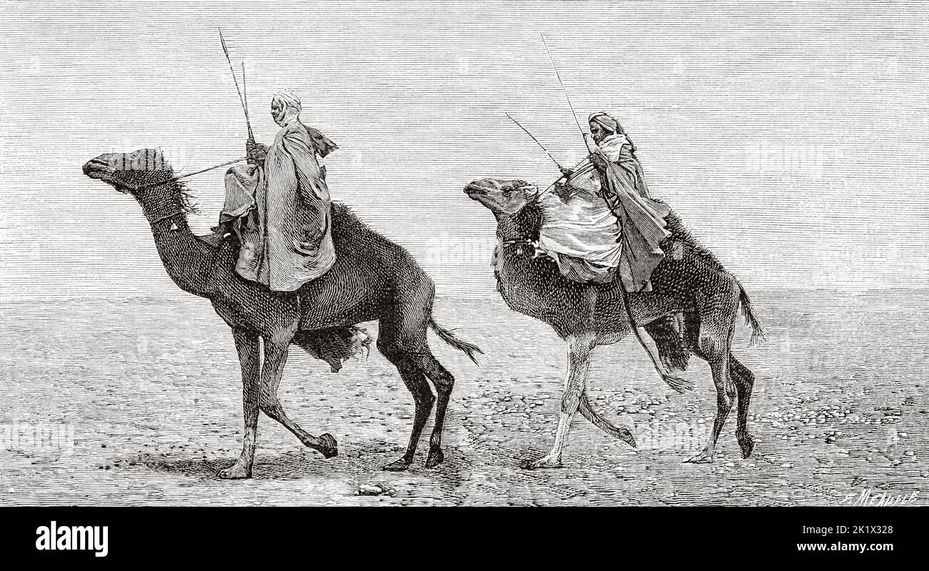 Sahara camel drivers, Africa. Old 19th century engraved illustration from La Nature 1890 Stock Photo