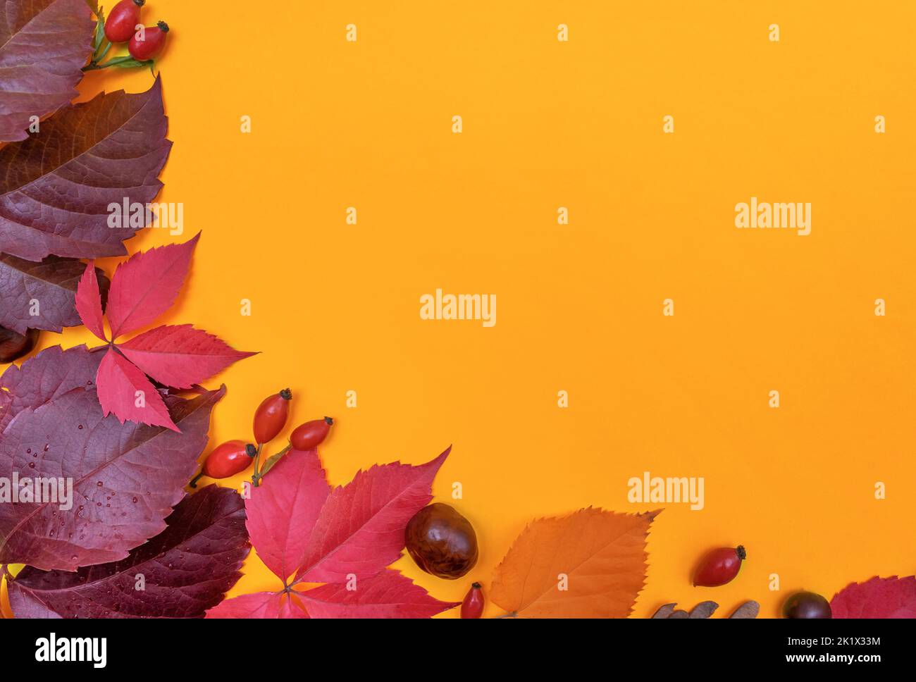 Autumn still life on a bright background. Stock Photo
