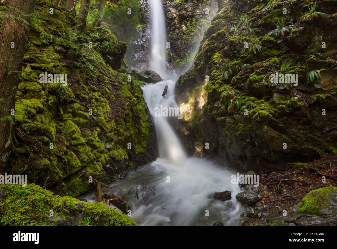 Waterfall in the beautiful green forest Stock Photo