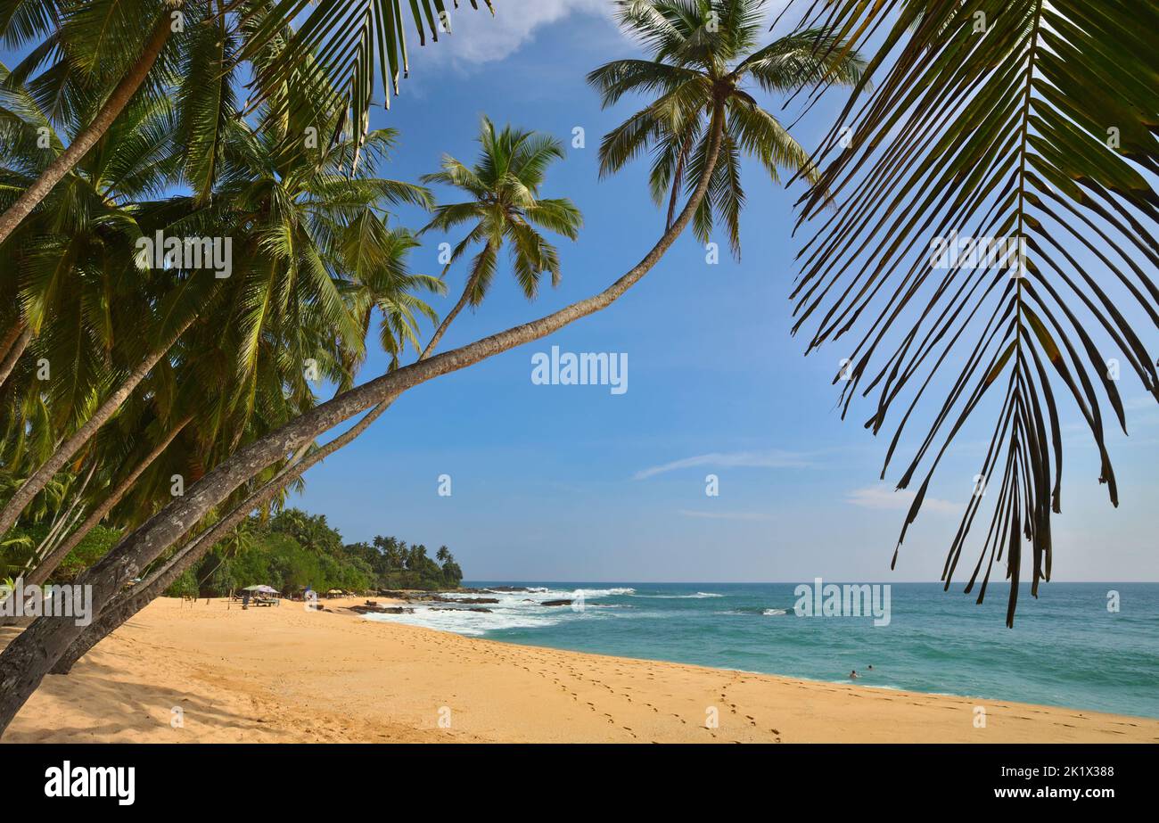 Beautiful summer landscapes  on the tropical beach. Vacation background. Stock Photo