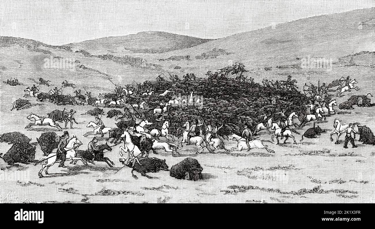 Bison surrounded by Indians in United States, USA. Old 19th century engraved illustration from La Nature 1890 Stock Photo
