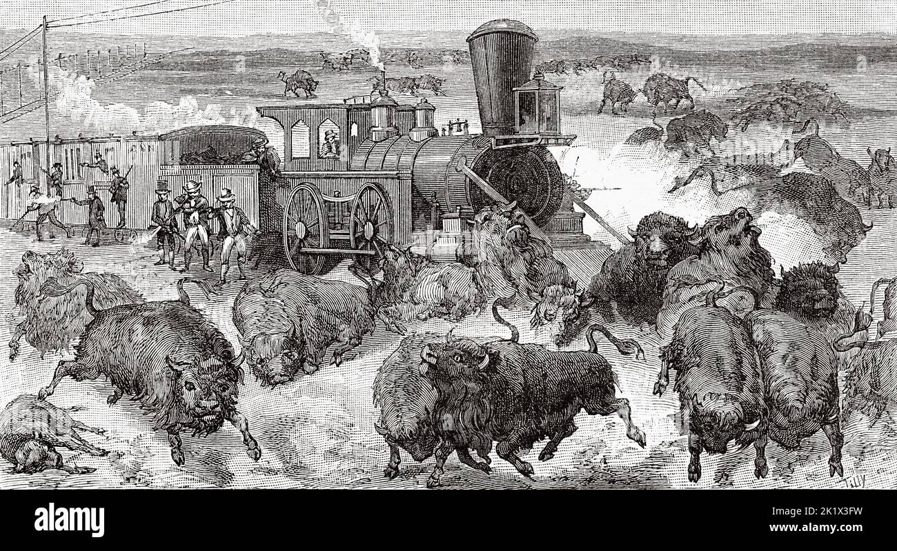 Buffalo Hunt on the Kansas-Pacific Railroad in USA, 1872, USA. Old 19th century engraved illustration from La Nature 1890 Stock Photo