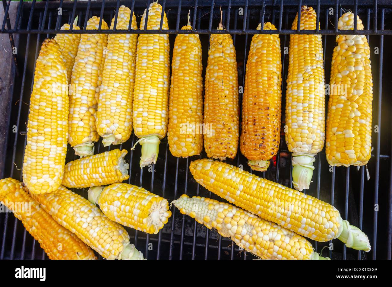 Fresh corn on the cob cooking on a barbecue Stock Photo