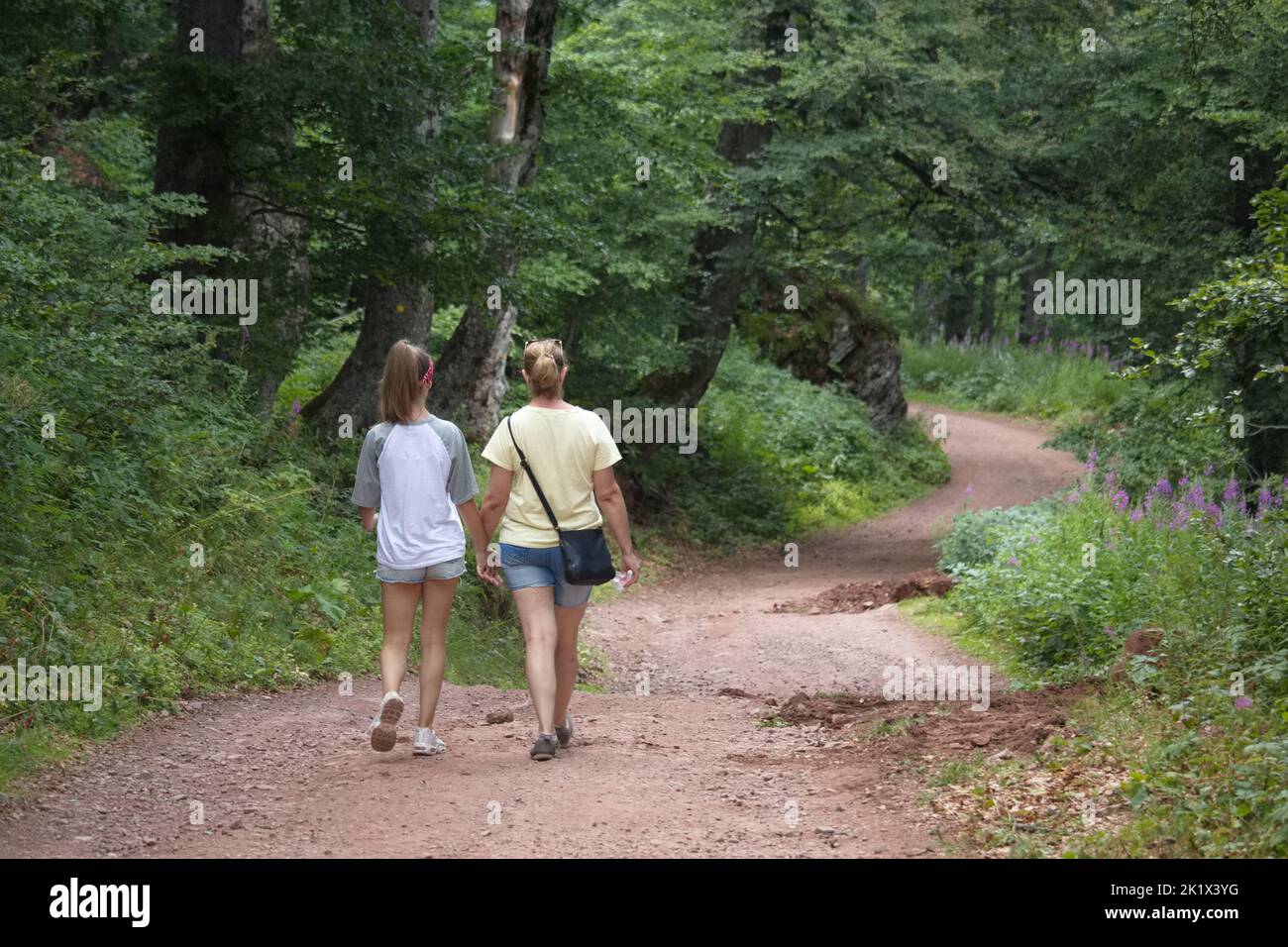 A back view of two women walking through footpath surrounded by growing ...