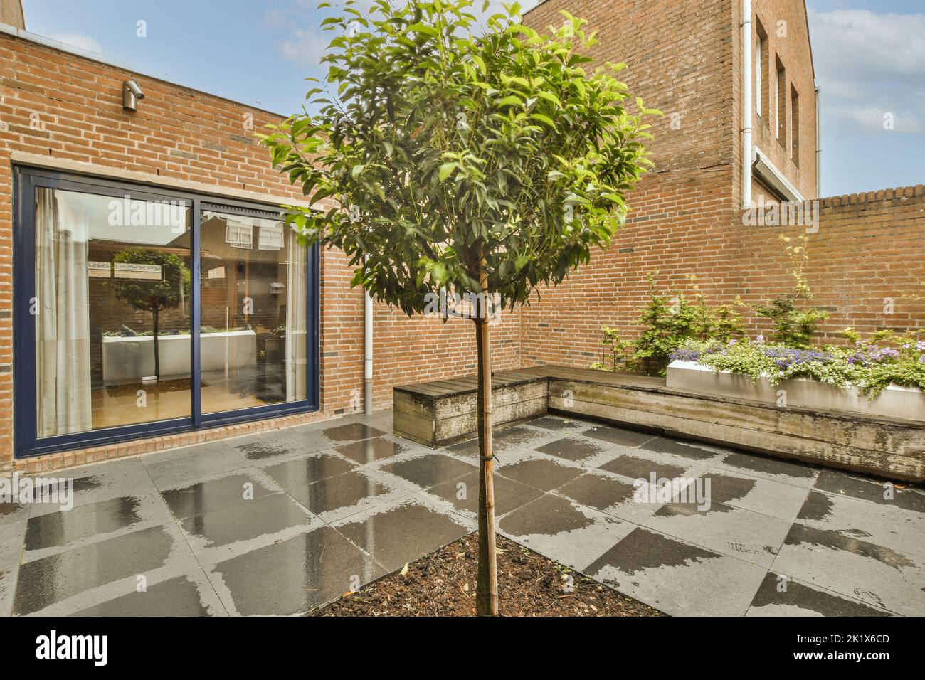 Simple patio with small garden near wooden fence Stock Photo Alamy