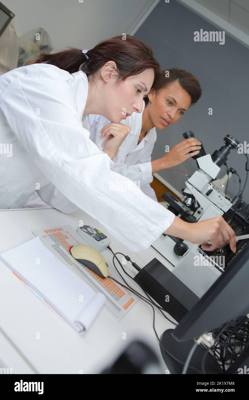 Laboratory testing food safety hi-res stock photography and images - Alamy