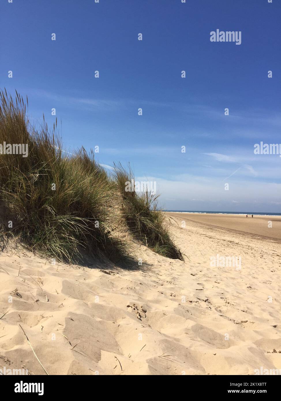 Golden sand and dunes on Norfolk beach Stock Photo