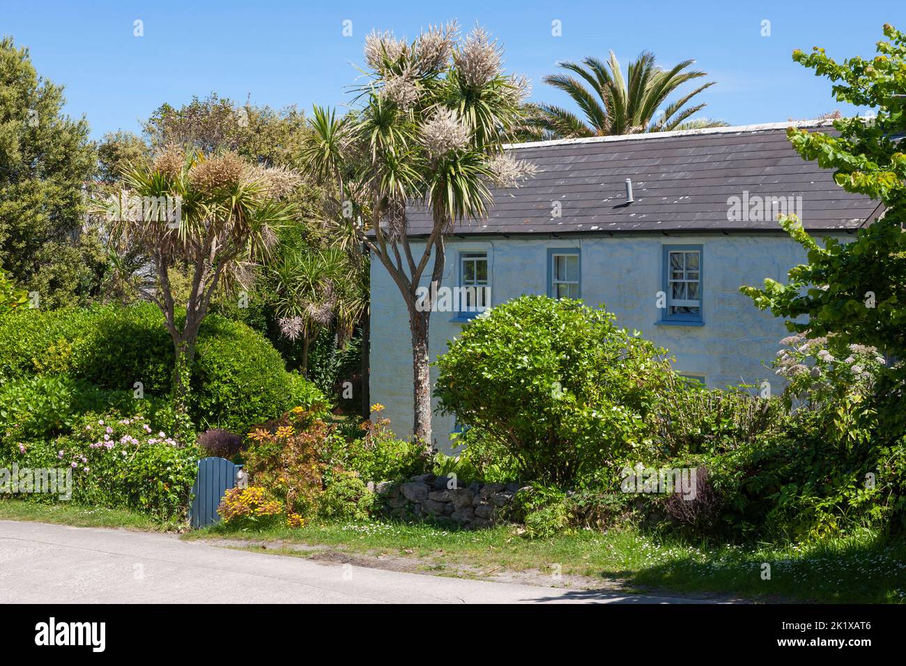 Pretty little cottage with a profusion of flowers growing over the garden walls: Old Grimsby, Tresco, Isles of Scilly, UK Stock Photo